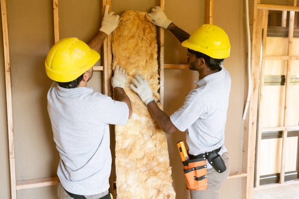Best Crawl Space Insulation  in Covington, LA